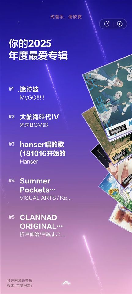 又一年傻逼二次元。九张年度记录串起这一年的听歌、现场与二次元切片。, 媒体 5